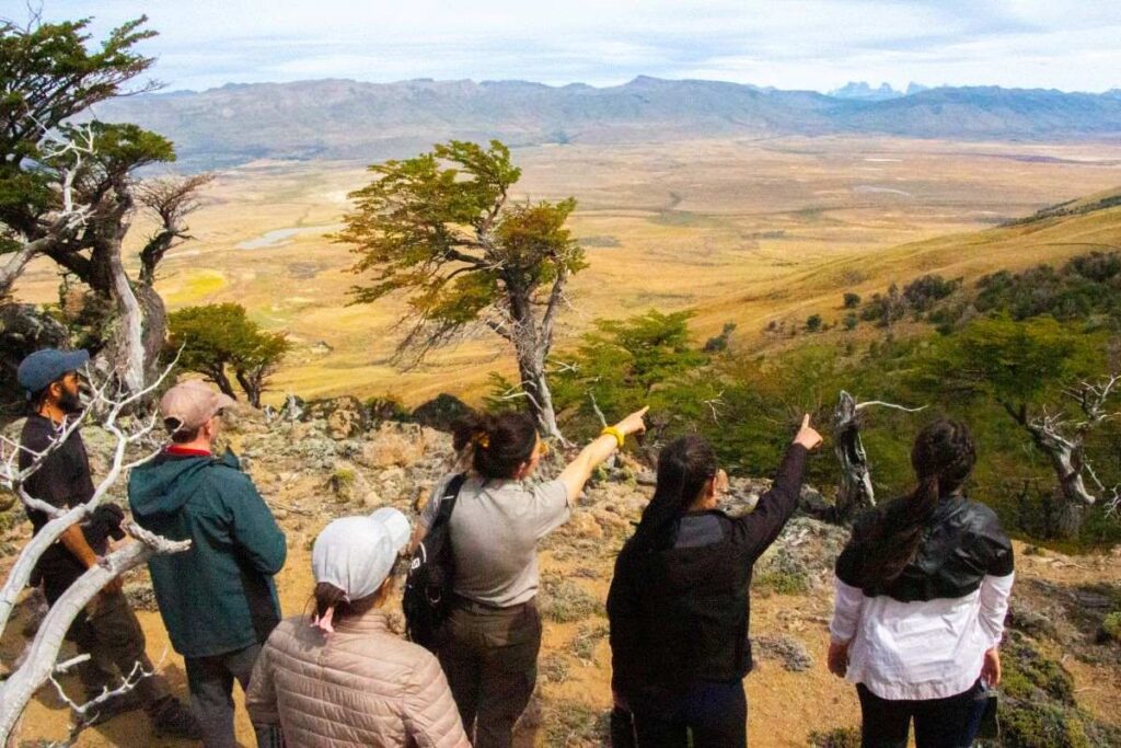 Grupo haciendo trekking